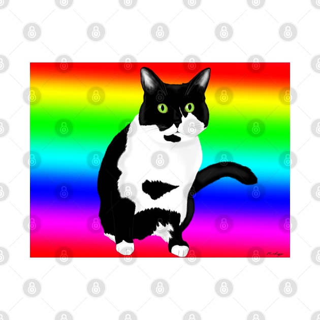 Black and white kitty on rainbow by MelanieJeyakkumar