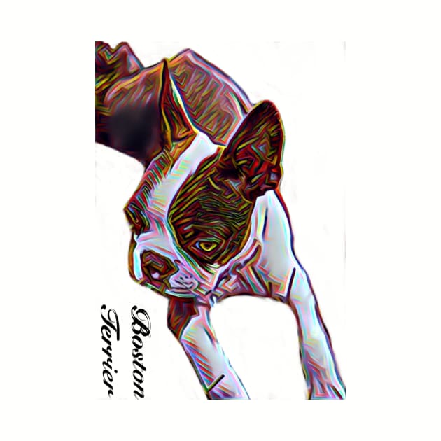 Boston Terrier Laying Down by GdotArroyo