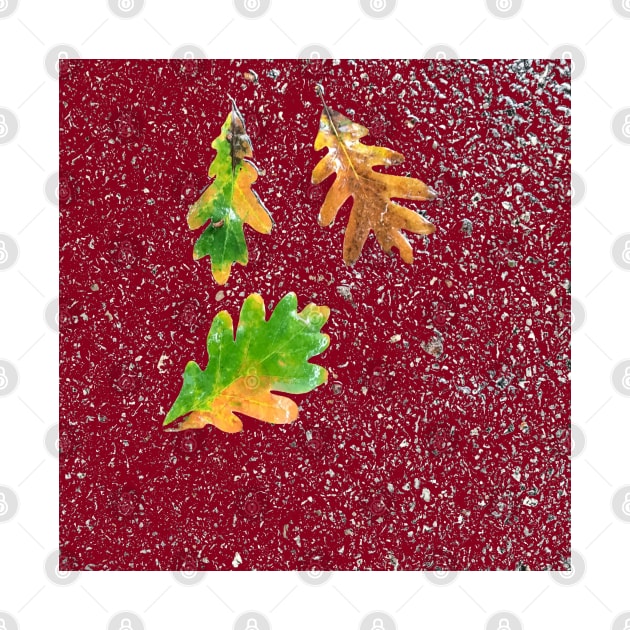 Rainy Leaves on Red Terrazzo Background by djrunnels