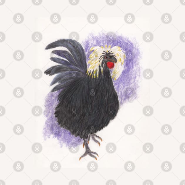 Old Weird Harold, White Crested Black Polish Rooster by ConniSchaf