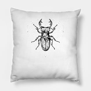 Metamorphosis Pillow