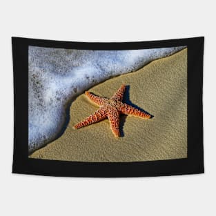 STARFISH ON THE BEACH DESIGN Tapestry