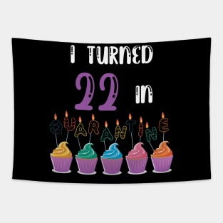 I Turned 22 In Quarantine funny idea birthday t-shirt Tapestry