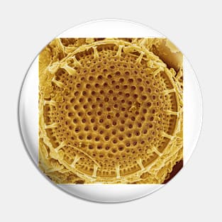 Diatom - Thalassiosira (external, gold) Pin