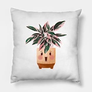 Cute Plant Illustration, Calathea Triostar Illustration Pillow