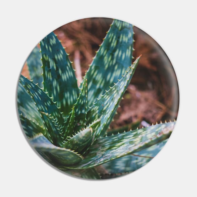 Green Agave Pin by RenataCacaoPhotography