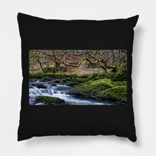 River Rothay Pillow