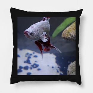 Resting Fish Face Pillow