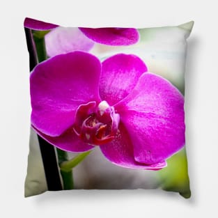 Orchid Pillow