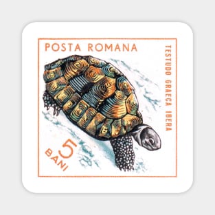 Vintage 1965 Romania tortoise postage stamp Magnet