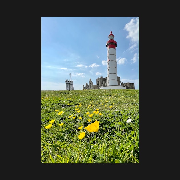 Saint-Mathieu in spring by rollier