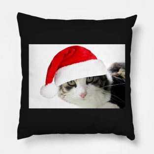 Merry Christmas Mr Tiger Pillow