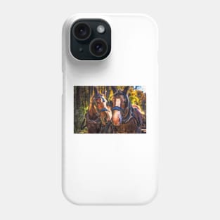 Horse Pride 2 Phone Case