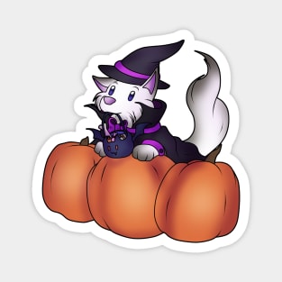 Witch Dogtor Magnet