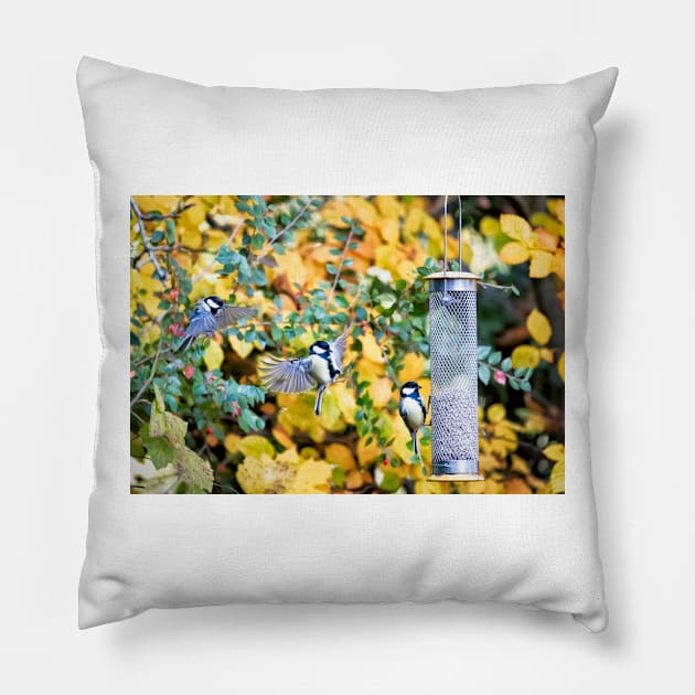 Feeding Time Pillow by GrahamPrentice