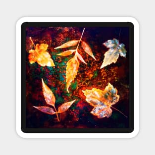 Botanical autumn leaves on the rust background Magnet