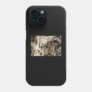 Ladybird Love Phone Case