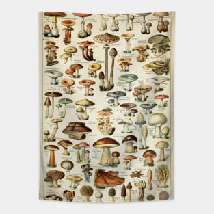 Champignon I Vintage French Mushroom Chart Tapestry