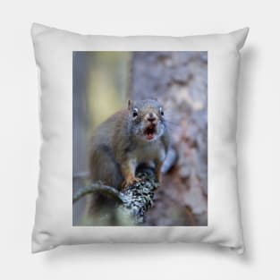 Chatter Box - Red Squirrel - Algonquin Park, Canada Pillow