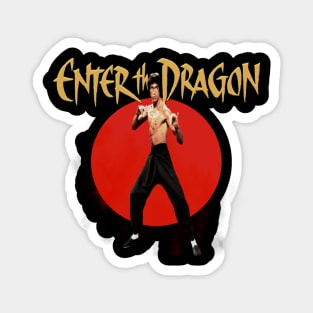 enter the dragon film 2 Magnet