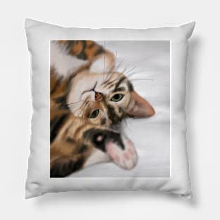 Cute Kitty Reaching Out Pillow