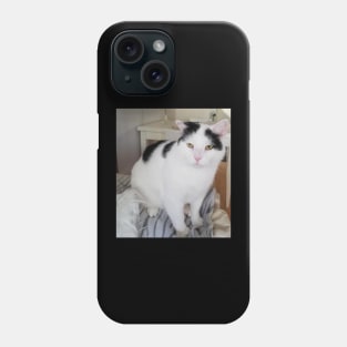 Pussycat Paul Phone Case