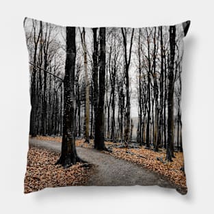 Winter Forest Pillow