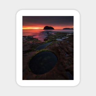 Rockpools Magnet