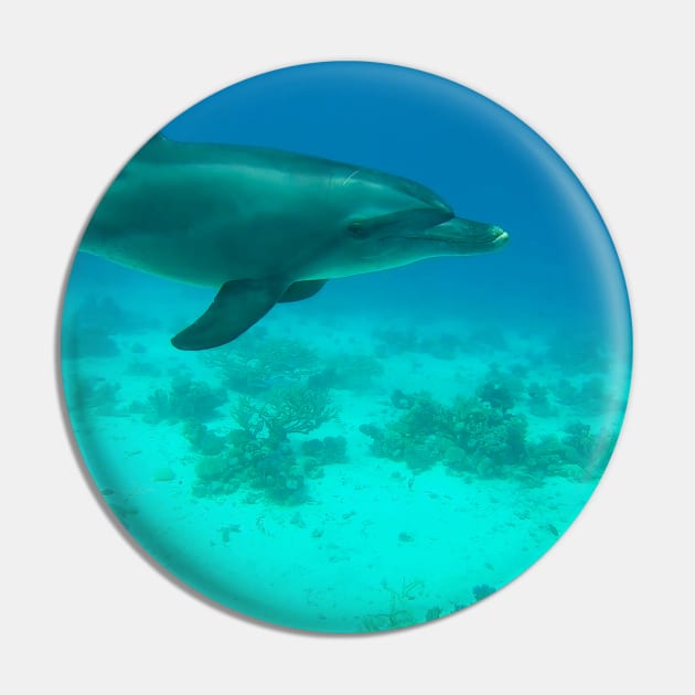 Dolphin Underwater Pin by Kate-P-