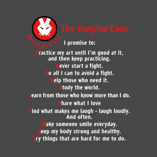 The Bunjistu Bunny Code by John Himmelman