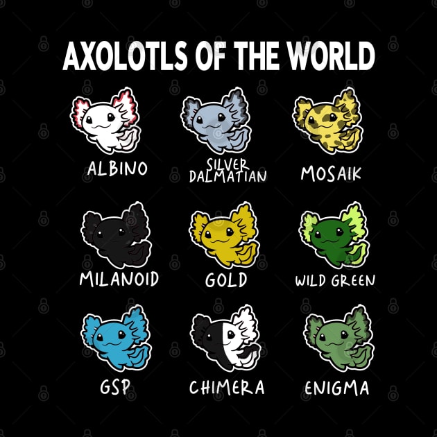 Axolotls Of The World | Types Of Axolotl by McKenna Guitar Sales