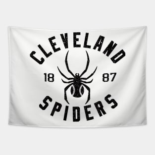 Defunct - CLEVELAND SPIDERS 1887 Tapestry