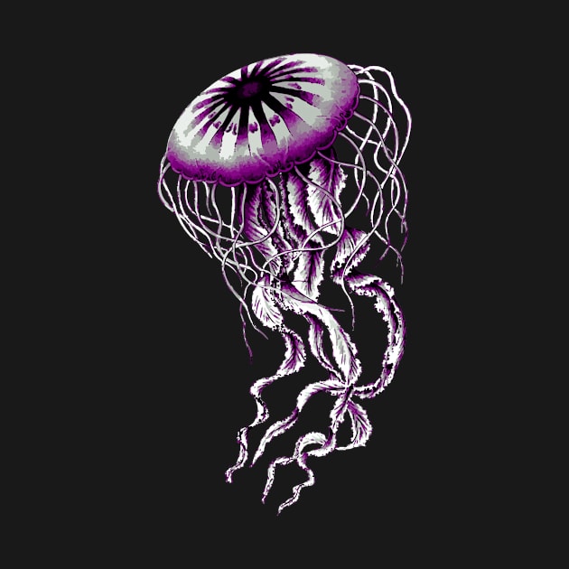 Asexual Pride Jellyfish by VernenInk