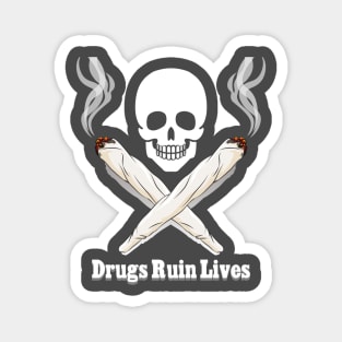 drug ruin lives Magnet