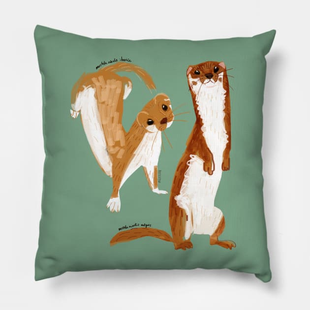 Funny Weasel ( Mustela nivalis ) Pillow by belettelepink