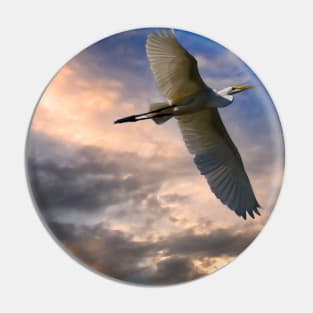 A White Egret Flies Off Under An Evening Sky Pin
