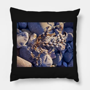 Frozen Beach Pillow