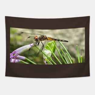 Golden Elegance: Macro Lens Dragonfly Portrait Tapestry