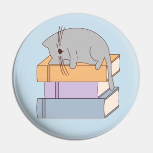 Sleeping cat Pin