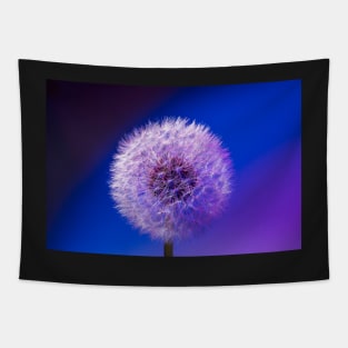 Single dandelion seed head close up Tapestry