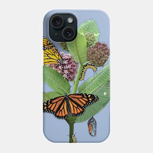 Monarch Lifecycle Egg Caterpillar Chrysalis Butterfly Phone Case