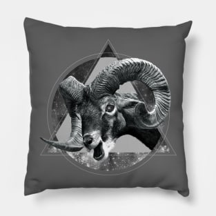 Horns & Space Pillow