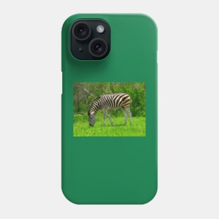 Zebra, Kruger National Park, South Africa Phone Case