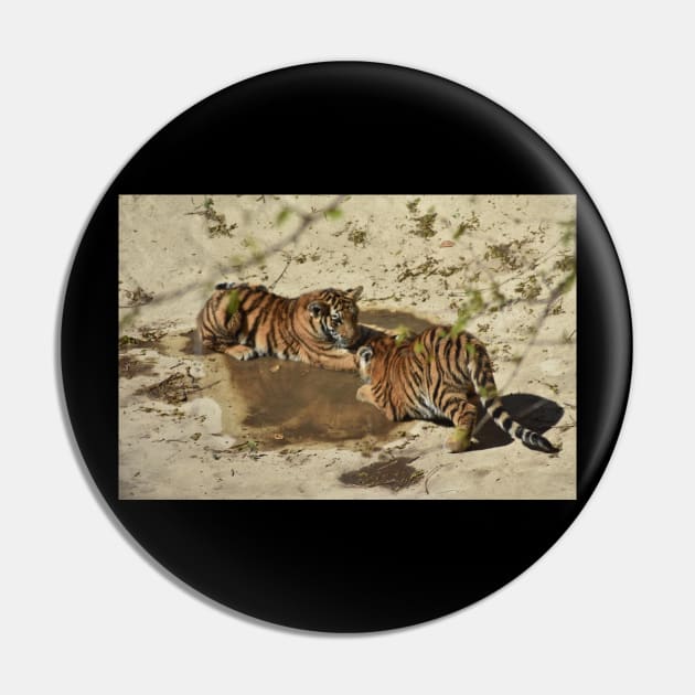 Tiger Cubs Pin by MarieDarcy