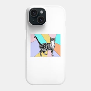 Tabby Cat Striped Cute Cats - Pastel Rainbow Phone Case