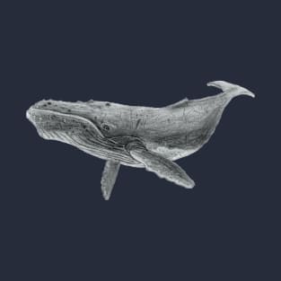 Zack’s humpback whale T-Shirt