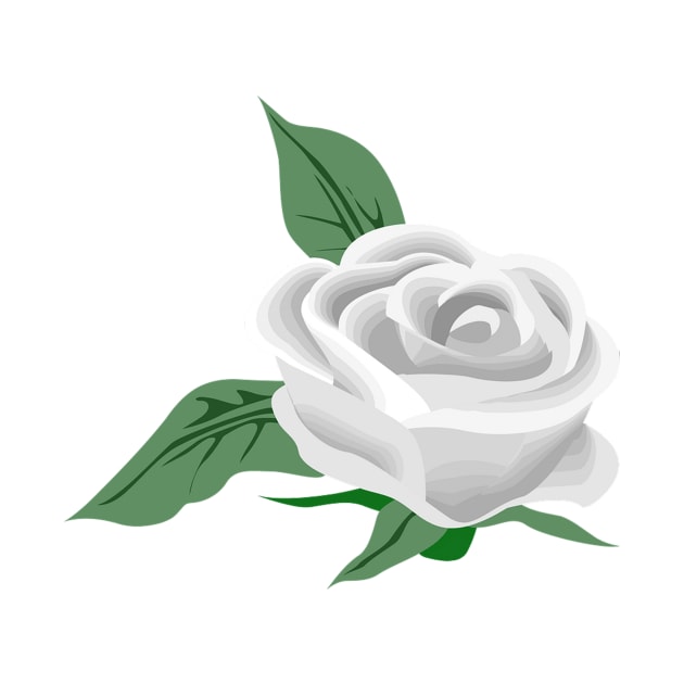 White rose by Robie