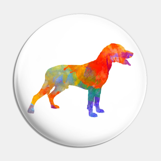 Save Valley Scenthound in watercolor Pin by PaulrommerArt