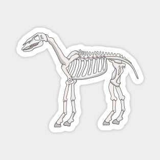 A Skeleton of a Horse Magnet