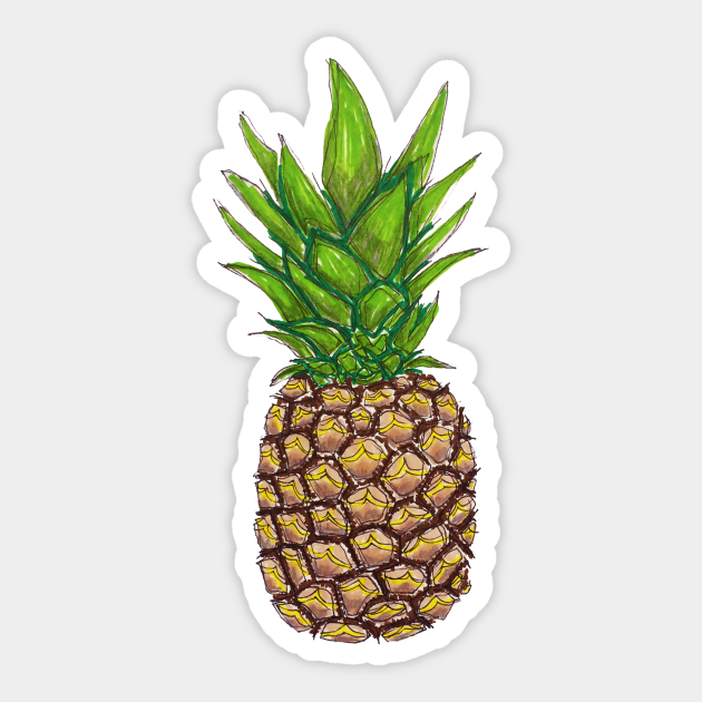 Pineapple Drawing Pineapple Drawing Aufkleber Teepublic De
